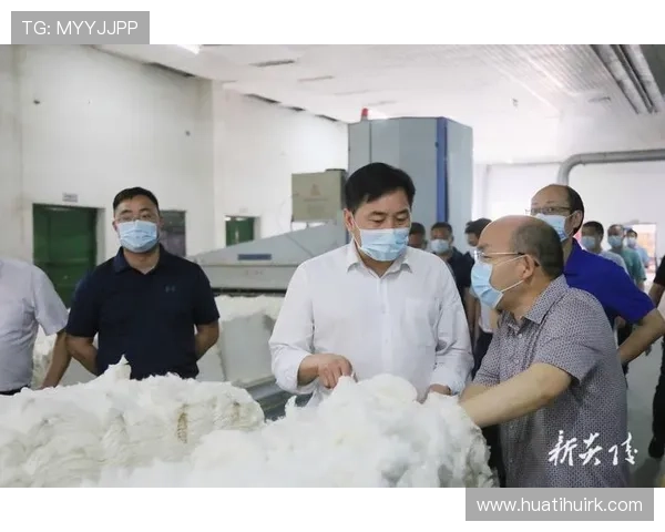 华娱娱乐帝国：行业监管环境变化对企业发展的影响与应对措施